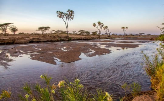 Ewaso Nyiro River in Samburu National Reserve